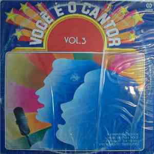 Various - Você É O Cantor Vol.3 flac download