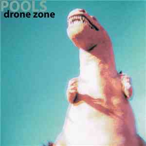 Pools  - Drone Zone flac download