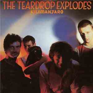 The Teardrop Explodes - Kilimanjaro flac download