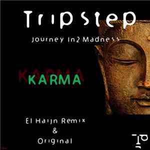 Journey In2 Madness - Karma flac download