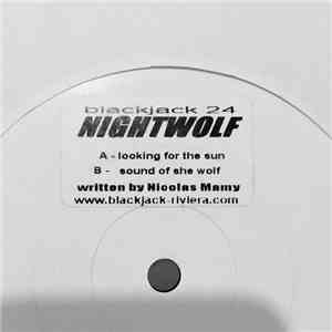 Nightwolf - Looking For The Sun EP flac download