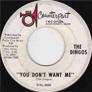 The Dingos - You Don't Want Me flac download
