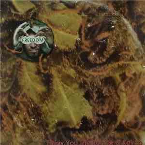 Twigy Featuring You The Rock And Keyco - Freedom flac download