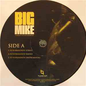 Big Mike  - Fly-N-Brandnew flac download