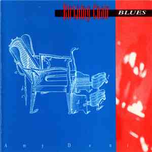 Amy Denio - Birthing Chair Blues flac download