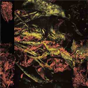 Hissing - Permanent Destitution flac download