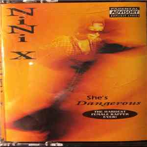 Nini X - She’s Dangerous flac download