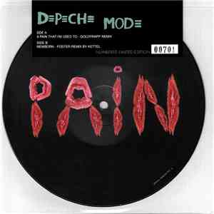 Depeche Mode - A Pain That I'm Used To flac download