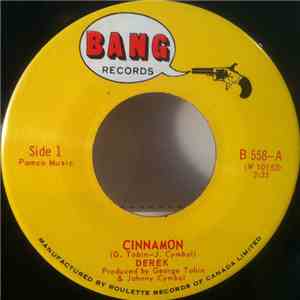 Derek  / Jerry O - Cinnamon / Dance What Cha Wanna flac download