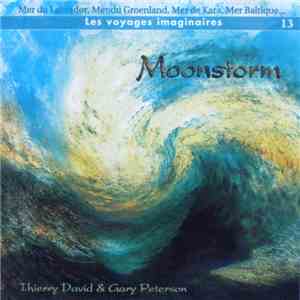 Thierry David & Gary Peterson  - Moonstorm flac download