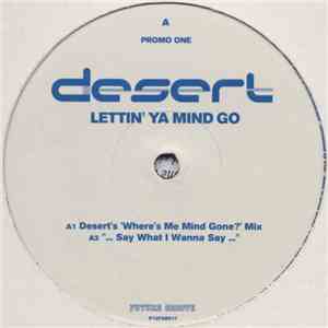Desert - Lettin' Ya Mind Go (Promo One) flac download