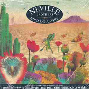 Neville Brothers - Bird On A Wire flac download