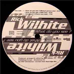 Rick Wilhite - What Do You See? flac download