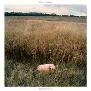 Sinai Vessel - Brokenlegged flac download