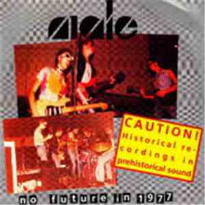 Male - No Future In 1977 flac download