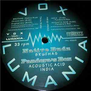Native Budz / Pandora's Box  - Bruthas / India / Acoustic Acid flac download