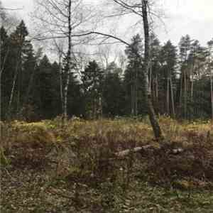 Razxca - Plubaki flac download
