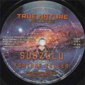 Subzulu - Fortune Teller flac download