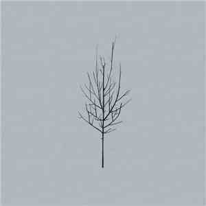 Low - Ones And Sixes flac download