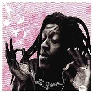 Cheikh Lô - Jamm flac download