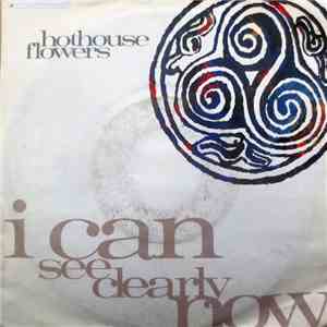 Hothouse Flowers - I Can See Clearly Now flac download