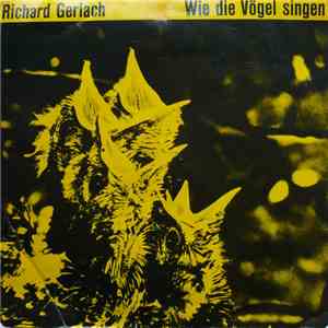 No Artist - Richard Gerlach - Wie Die Vögel Singen flac download