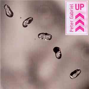 Peter Gabriel - Up flac download