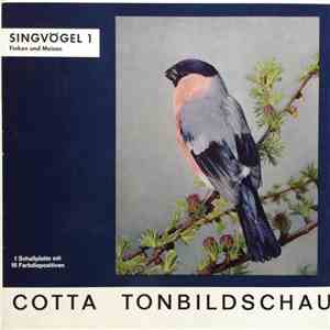 No Artist - Singvögel 1 flac download