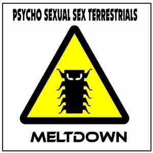 Psycho Sexual Sex Terrestrials - Meltdown flac download