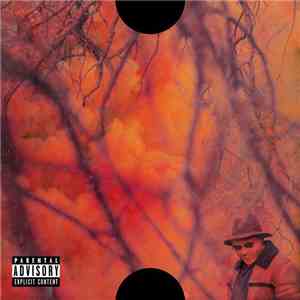 Schoolboy Q - Blank Face LP flac download