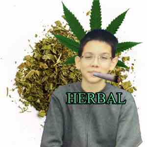 Meméster - Herbal flac download