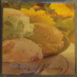 Volcano Suns - Thing Of Beauty flac download