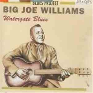 Big Joe Williams - Watergate Blues flac download