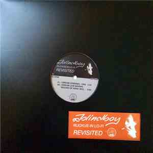 Blindboy - Ruckus In Lo-Fi Revisited FLAC download