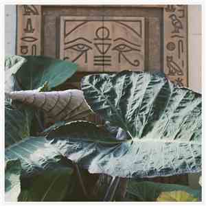 Confused Kundalini - This Will Heal Us flac download