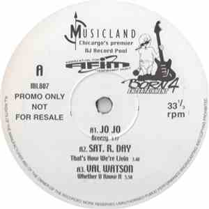 Various - Musicland 807 flac download