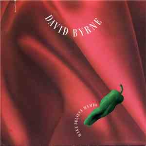 David Byrne - Make Believe Mambo flac download
