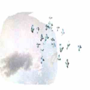 Wobbly - Europe flac download