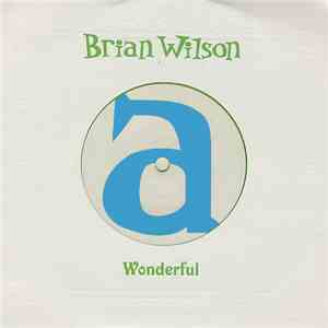 Brian Wilson - Wonderful flac download