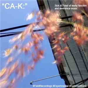 CarbonKid87 - Sick & Tired of World Fascism and Eletronica Music -l flac download