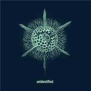 LIL - unidentified flac download