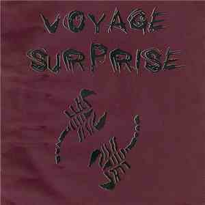 Various - Voyage Surprise flac download