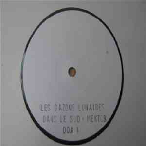 Les Gazons Lunaires - Dans Le Sud / Mektob flac download