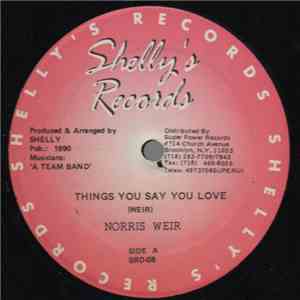 Norris Weir - Things You Say You Love flac download