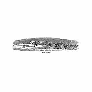 Kalendae - Finis flac download