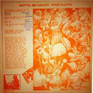 Pink Floyd - Gotta Be Crazy flac download