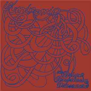 The Brian Jonestown Massacre - Iluminomi flac download