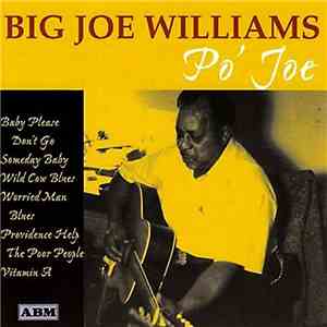 Big Joe Williams - Po' Joe flac download