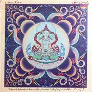 Terry Riley - Shri Camel flac download