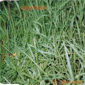 Supperheads - Life's Just A Picnic flac download